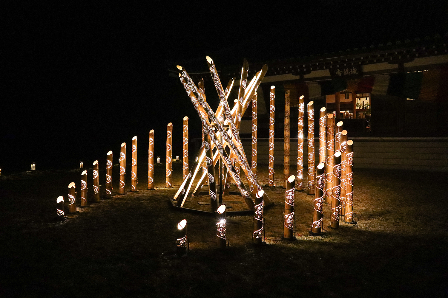 炎を見ているような安らぎに 海陽町の自然×アート“竹あかり” - Lacycle