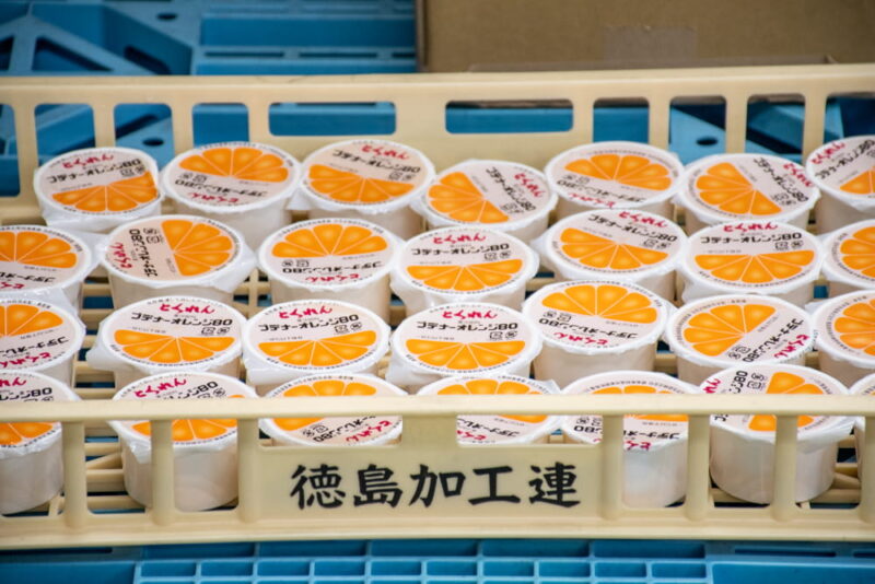 「徳島加工連」と書かれた浅いコンテナいっぱいのゼリー