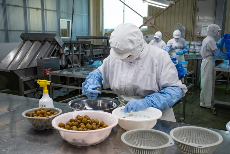 梅のヘタを手作業で取り除いているところ