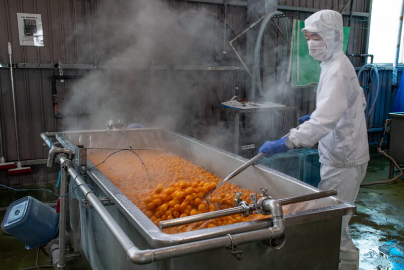 金柑を一気に炊きあげているところ