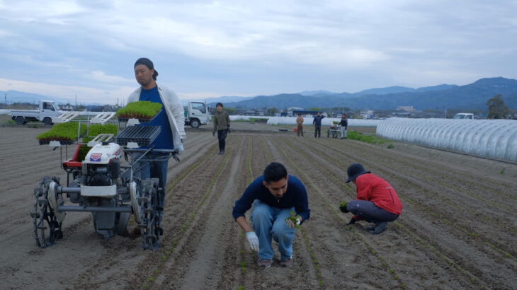 藍の日々―藍師＆染師の一年― 【第1回】青のはじまり