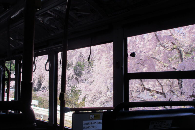 路線バス内からの光景