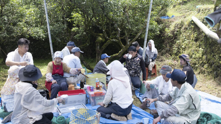 徳島県の山あいだけに伝わる、 幻の乳酸発酵茶「阿波晩茶」 【第1回】阿波晩茶ができるまで〈茶摘み編〉