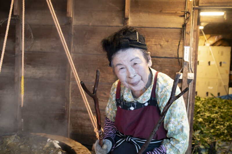 茶の木で作った二股の枝