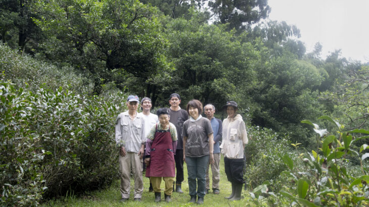 徳島県の山あいだけに伝わる、幻の乳酸発酵茶「阿波晩茶」【第2回】 阿波晩茶ができるまで〈茶茹で〜茶干し編〉